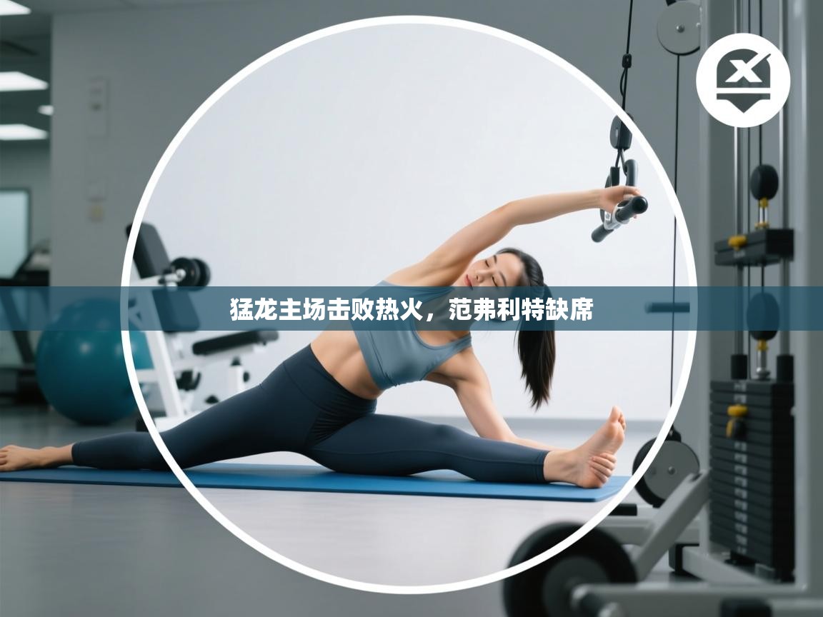 猛龙主场击败热火，范弗利特缺席  第2张