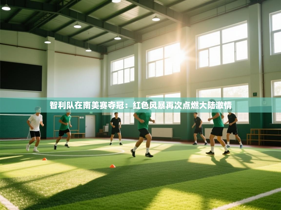 智利队在南美赛夺冠:红色风暴再次点燃大陆激情 第2张